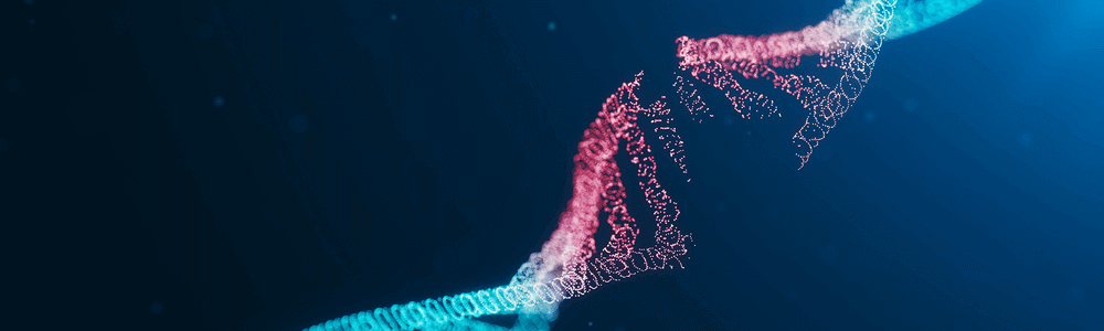 Artificial intelligence is becoming an increasingly important tool in the drug discovery and development process. Biotech investors benefit from this technology too.